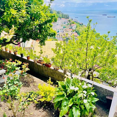 Borgo Virginia - Sea View In Amalfi Coast Apartment Vietri sul Mare Exterior photo
