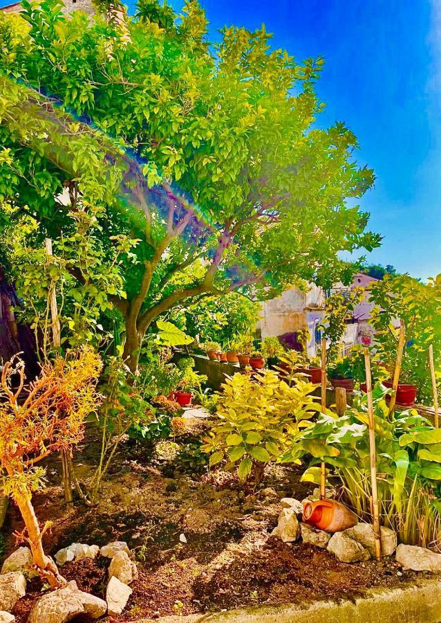 Borgo Virginia - Sea View In Amalfi Coast Apartment Vietri sul Mare Exterior photo