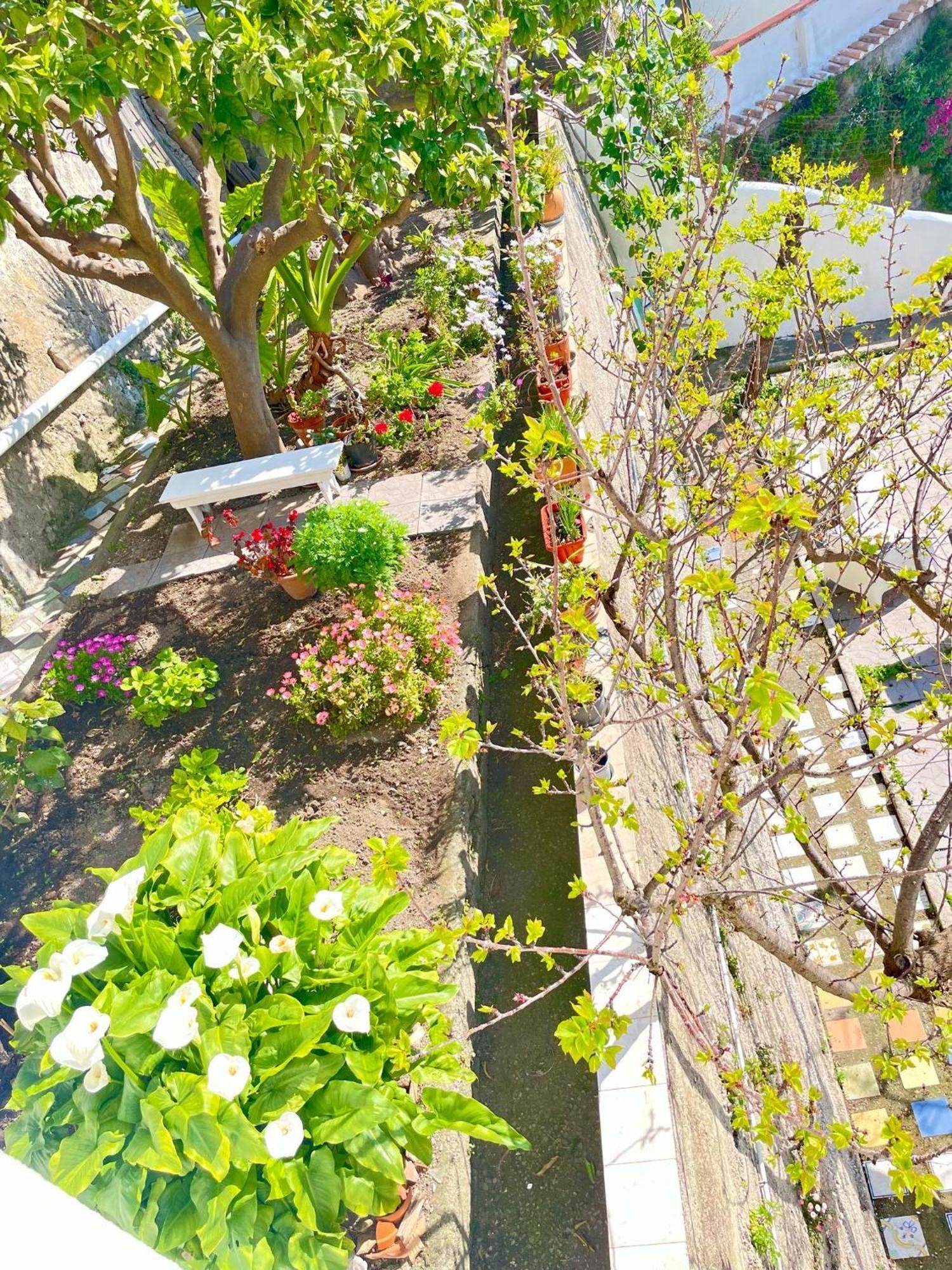 Borgo Virginia - Sea View In Amalfi Coast Apartment Vietri sul Mare Exterior photo